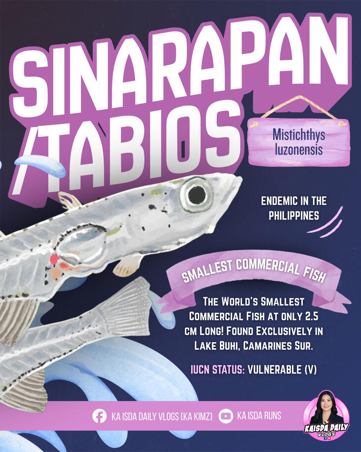 Sinarapan Sinarapan