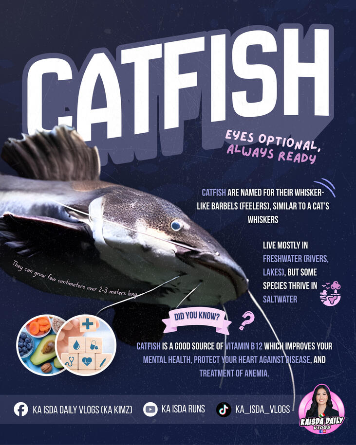 Catfish Catfish