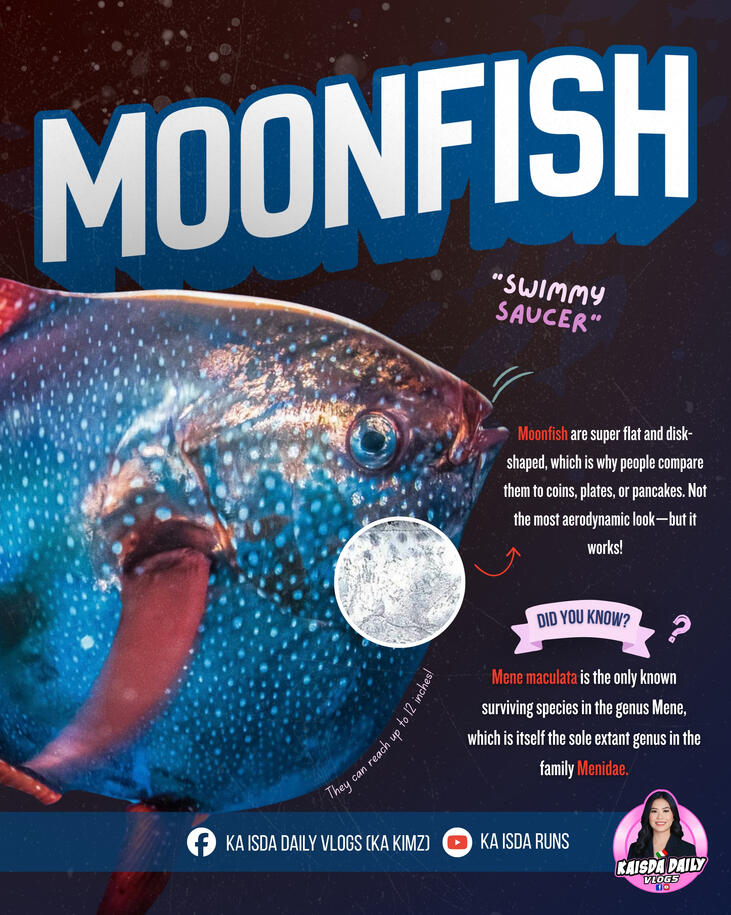 Moonfish Moonfish